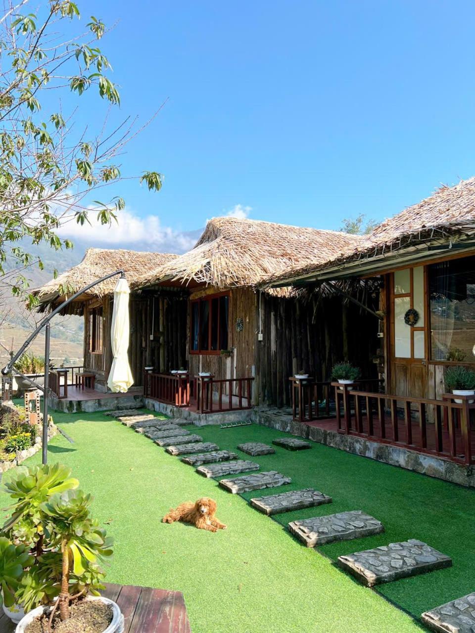 Bed and Breakfast Sapa Eco Hugo Экстерьер фото
